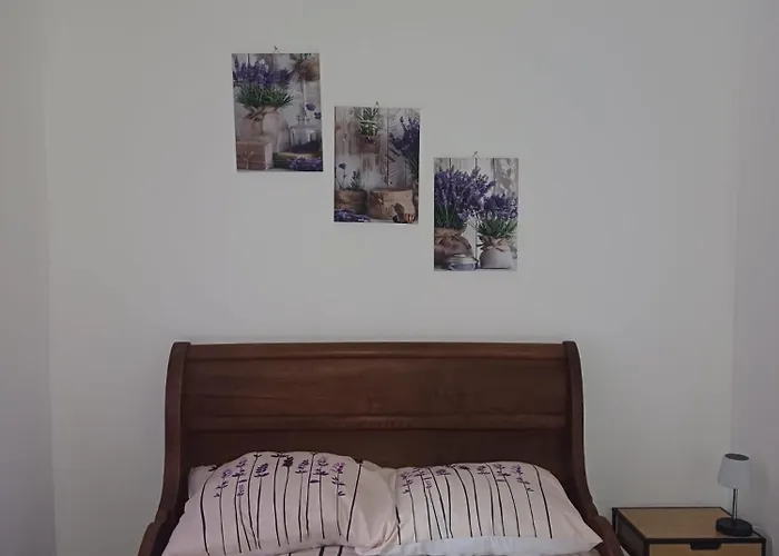 Foresteria Del Centro Alpino * Sant'Anna di Valdieri